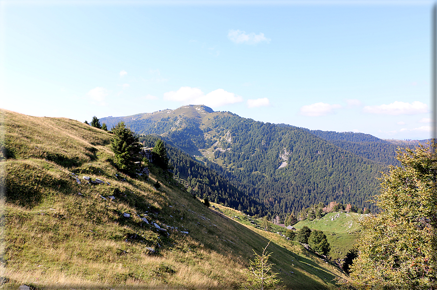 foto Col dell'Orso